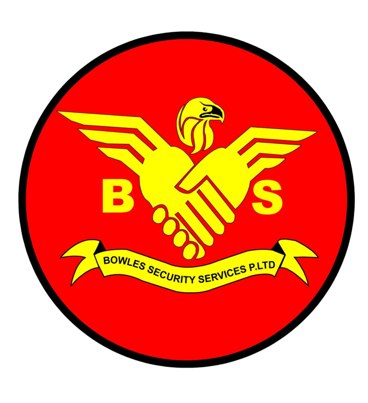 BSS Logo